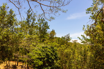 Country Side, Guanacaste, Costa Rica.