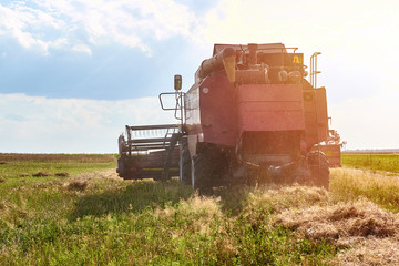Harvester machine working to harvest a rye field