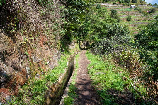 Levada dos Marocos also known as the Mimosa valley near Machico on the Island of Madeira. Leavdas are irrigation channels specific to the island.