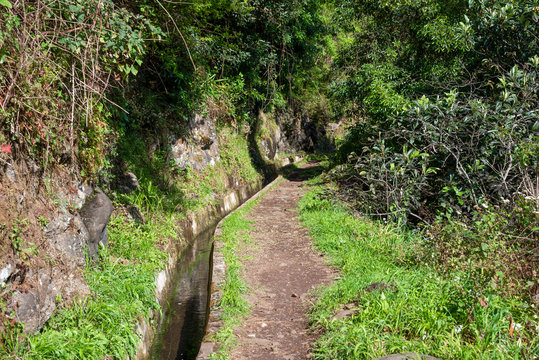 Levada dos Marocos also known as the Mimosa valley near Machico on the Island of Madeira. Leavdas are irrigation channels specific to the island.