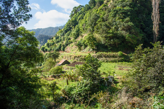 Levada dos Marocos also known as the Mimosa valley near Machico on the Island of Madeira. Leavdas are irrigation channels specific to the island.