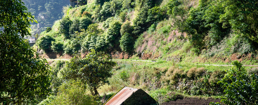 Levada dos Marocos also known as the Mimosa valley near Machico on the Island of Madeira. Leavdas are irrigation channels specific to the island.