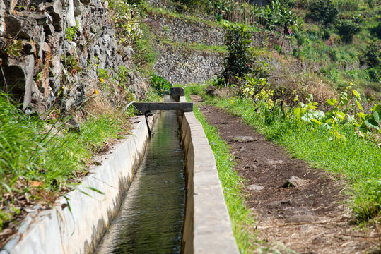Levada dos Marocos also known as the Mimosa valley near Machico on the Island of Madeira. Leavdas are irrigation channels specific to the island.