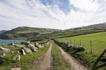Countryside road in Torr Head, Northern Irealnd