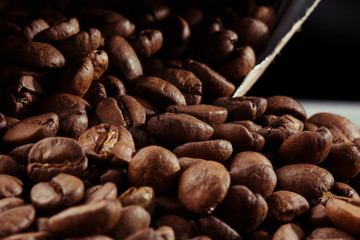 Isolated coffee bean. closeup photo. Top view. Roasted coffee beans background