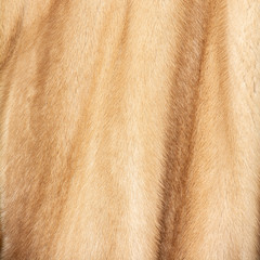 Naklejka premium The texture of natural spotted red and beige and brown fur with beautiful folds