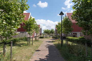 Wohnsiedlung im Sommer