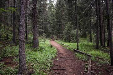 mountain trail