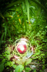 Atom Crystal Ball Nature