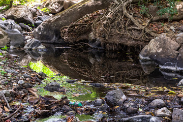 Small river, Guanacaste, Costa Rica.