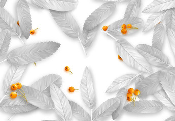 Background with silver leaves and realistic rowan berries. Fall Foliage