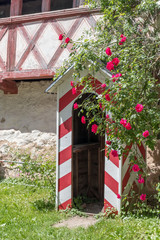 Fototapeta na wymiar Schilderhaus, Wachhäuschen, rot weiß gestreift, hinter Kletterrose in rot mit Wehrgang
