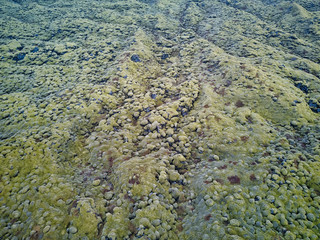Field of volcanic rock covered in moss as viewed from an Aerial drone