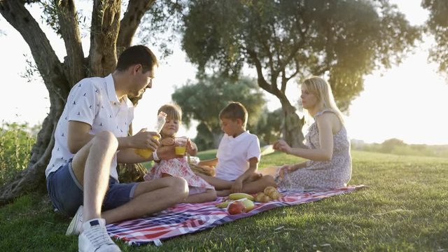 young happy family on a picnic in the summer in the park at sunset talking smiling drinking juice