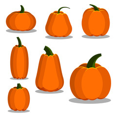 Cartoon flat style colorful pumpkin icons set. Sign kit of halloween. Thanksgiving pictogram collection farm harvest, closeup squash isolated on white background. Vector simple vegetable illustration