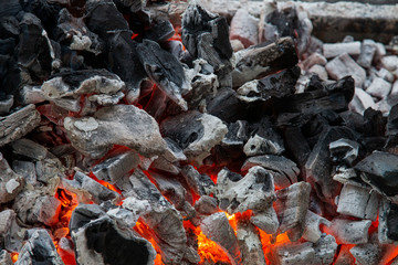 Burnt wood fire