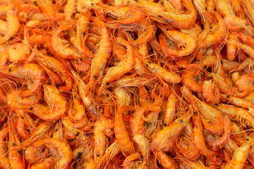Countless orange shrimp, Fresh marine food.