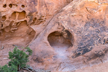 Landscape View of Throne along Devils Garden Trail