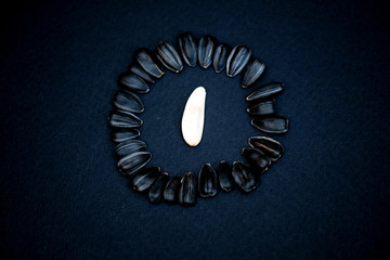 black sunflower seeds surrounded white sunflower seed