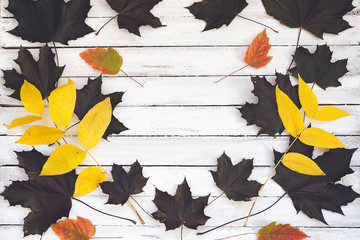 Autumn leaves on a wooden board, white background.
