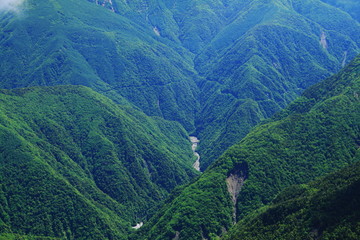 Obraz premium 南アルプス 白峰三山テント縦走 大門沢下降点から 大門沢を望む