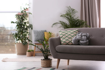 Stylish modern room interior with exotic houseplants