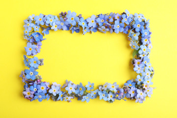 Frame made of amazing forget-me-not flowers on color background, flat lay. Space for text