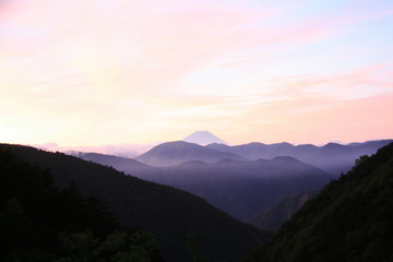Fototapeta premium 南アルプス 白峰三山テント縦走 大門沢小屋テント場から 朝焼けに映える霊峰富士を望む