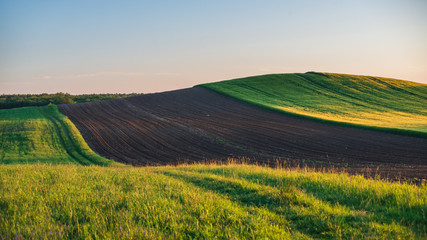 Obraz premium Farm land and blue sky with wheat fields