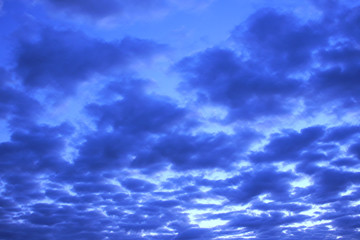 sub tropical sky back ground