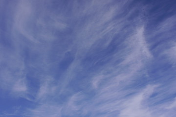 sub tropical sky back ground