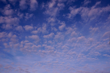 sub tropical sky back ground