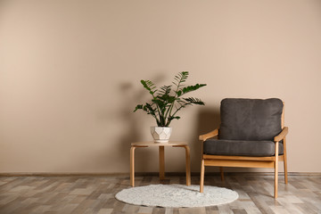 Stylish room interior with comfortable armchair and plant near color wall. Space for text