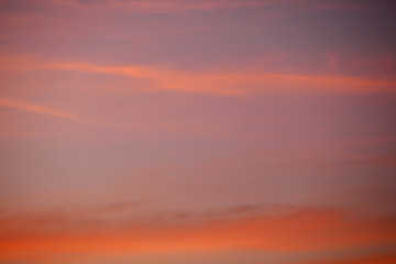 Fototapeta premium sub tropical skies background