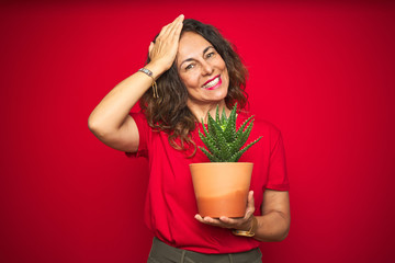 Middle age senior woman holding green cactus over red isolated background stressed with hand on head, shocked with shame and surprise face, angry and frustrated. Fear and upset for mistake.