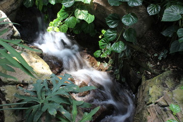 Flowing Waterfall