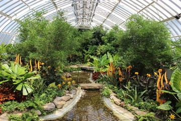 Greenhouse Manicured Gardens