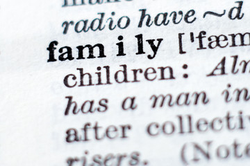 Obraz premium Definition of word family