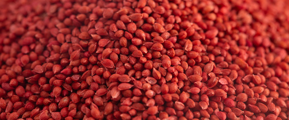Background of Cranberry Seeds