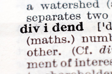 Definition of word dividend