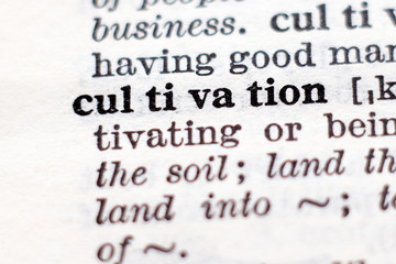 Definition of word cultivation