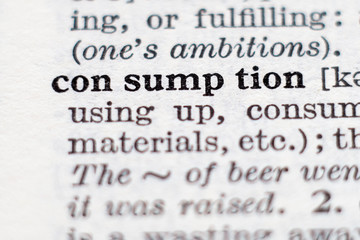 Definition of word consumption