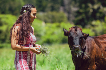 Mixed race young woman feeds cows on a farm - 276441488