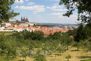 Summer Prague City with gothic Castle and the green Nature  from the Hill Petrin, Czech Republic