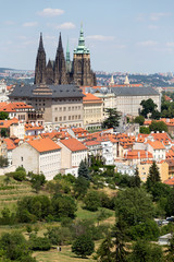 Obraz premium Summer Prague City with gothic Castle and the green Nature from the Hill Petrin, Czech Republic