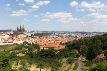 Fototapeta premium Summer Prague City with gothic Castle and the green Nature from the Hill Petrin, Czech Republic
