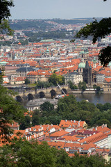 Fototapeta na wymiar Summer Prague City with Charles Bridge and green Nature from the Hill Petrin, Czech Republic