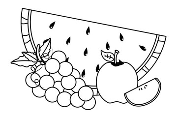 Isolated watermelon grapes and apple design