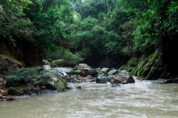 Naklejka na ściany i meble jungle water green peru river waterfall travel vacations trip