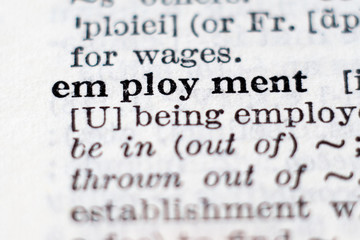 Definition of word employment
